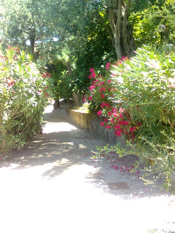 La Fusarella Villa Santoro Vico Equense Exterior photo